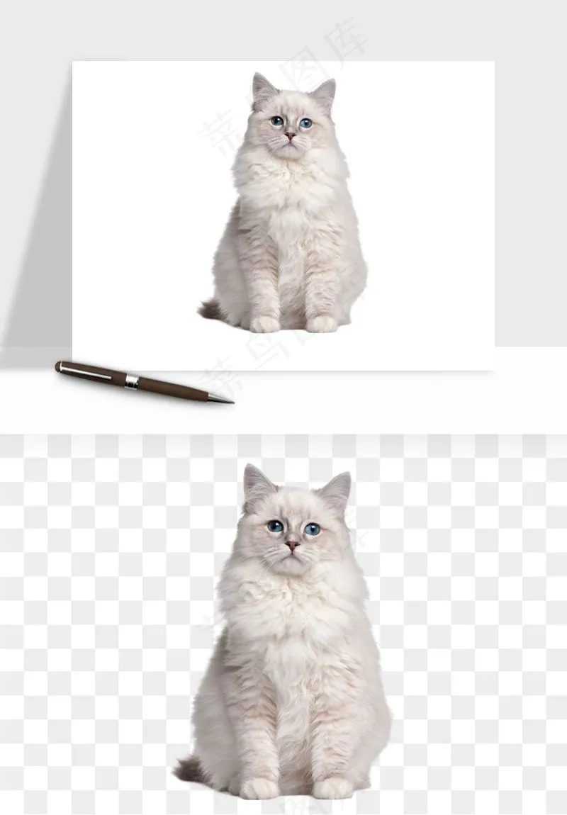 猫咪喵星人狗狗宠物元素png免抠