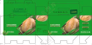 酸菜 东北特色白菜 腌菜