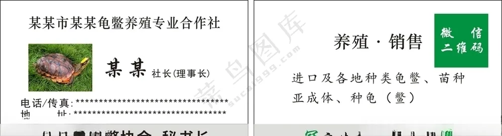 龟鳖龟鳖养殖海南