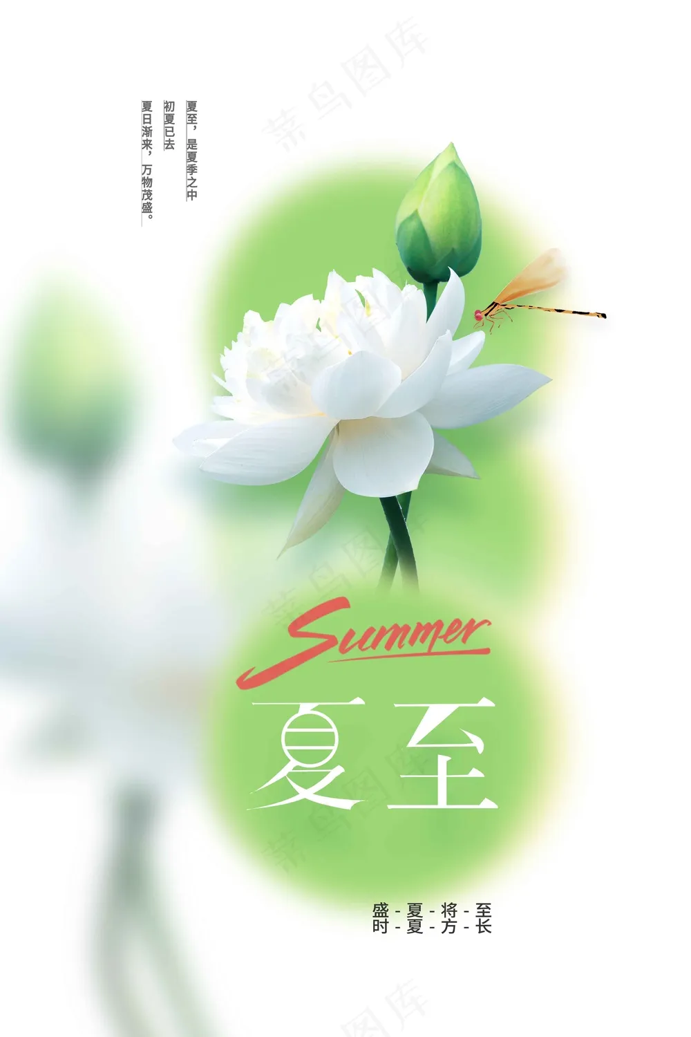 夏至节气传统活动海报