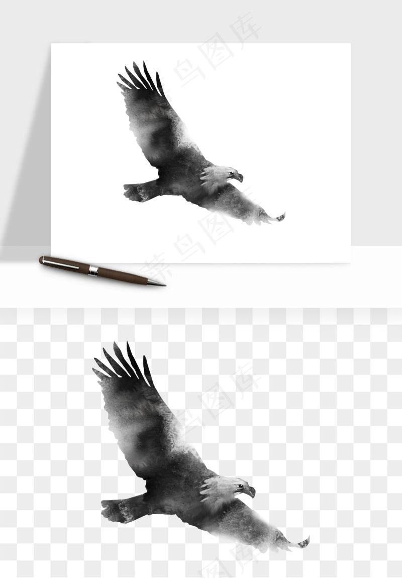 老鹰雄鹰展翅png免抠