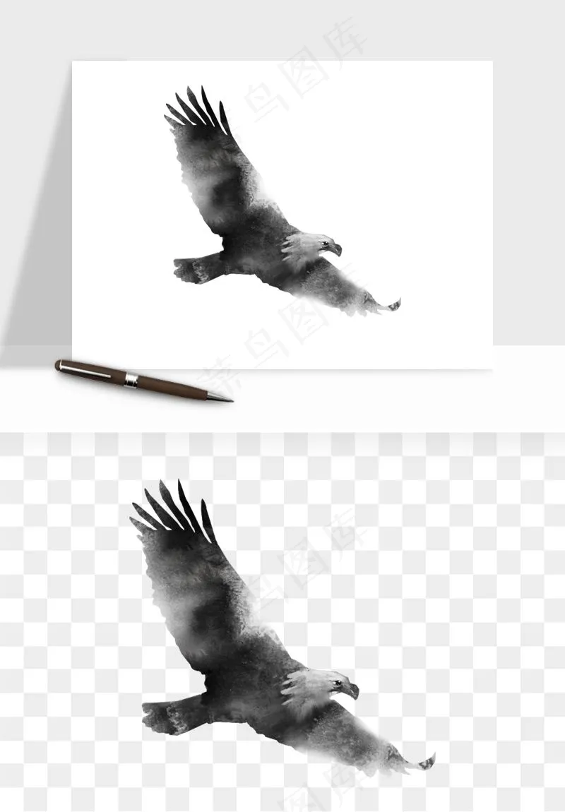 老鹰雄鹰展翅png免抠