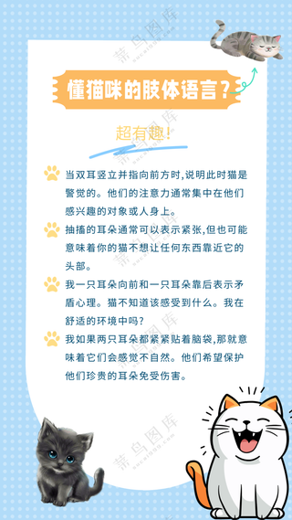 萌宠宠物猫咪的肢体语言常识攻略手机
