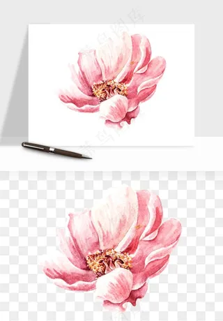 水彩复古花卉png免抠