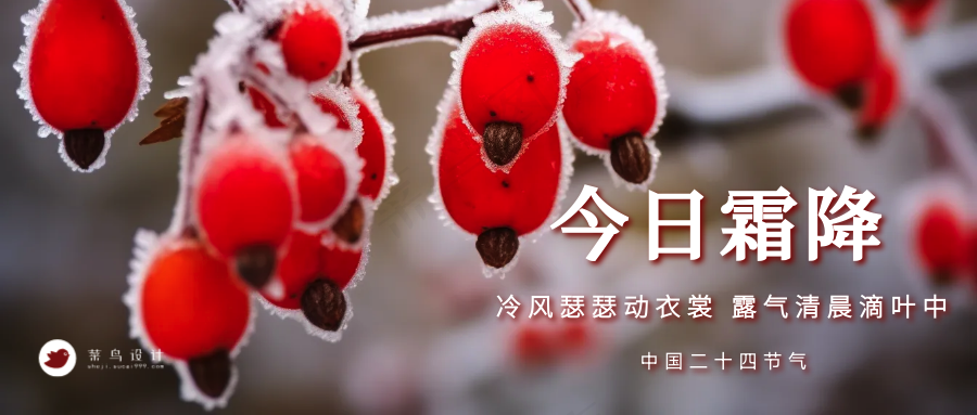 霜降公众号首图