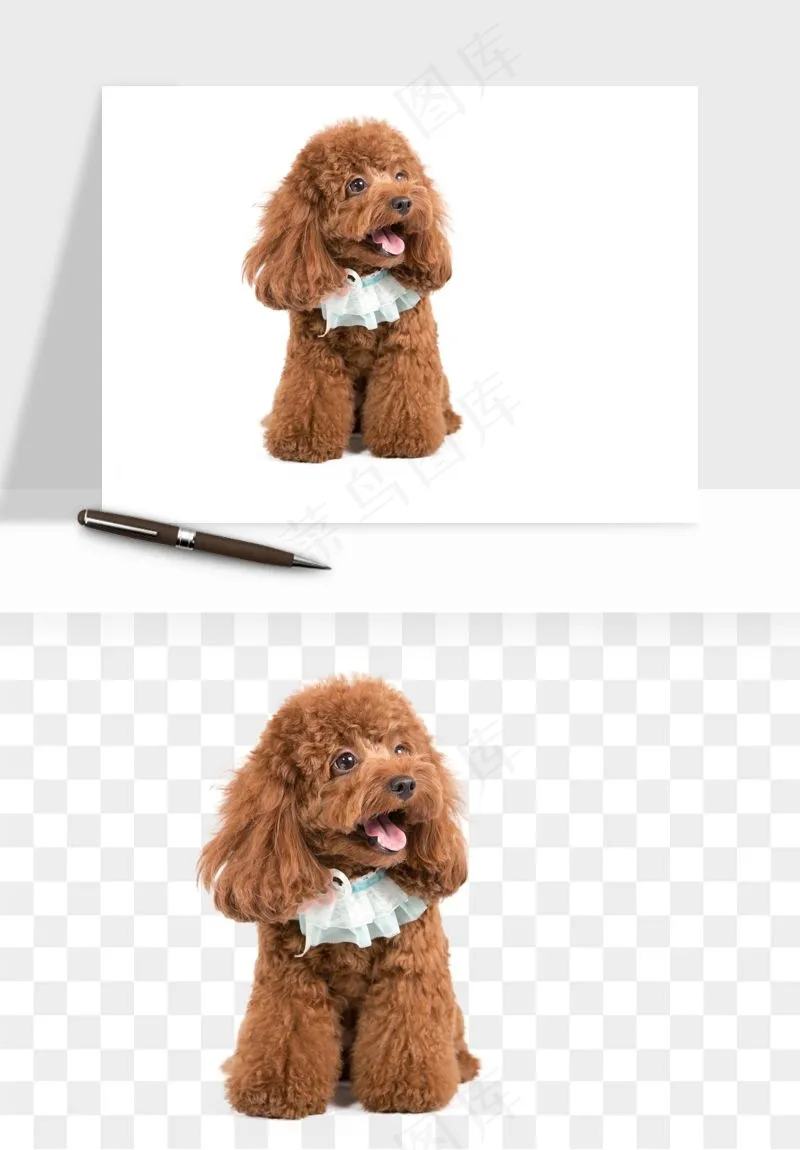 猫咪喵星人狗狗宠物元素png免抠