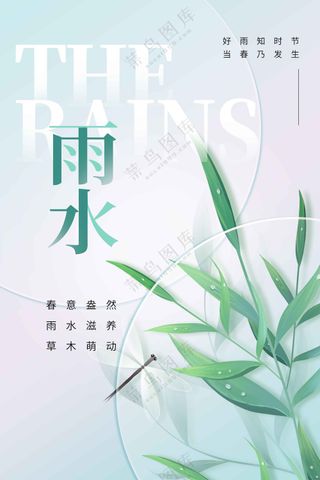 雨水节气传统海报