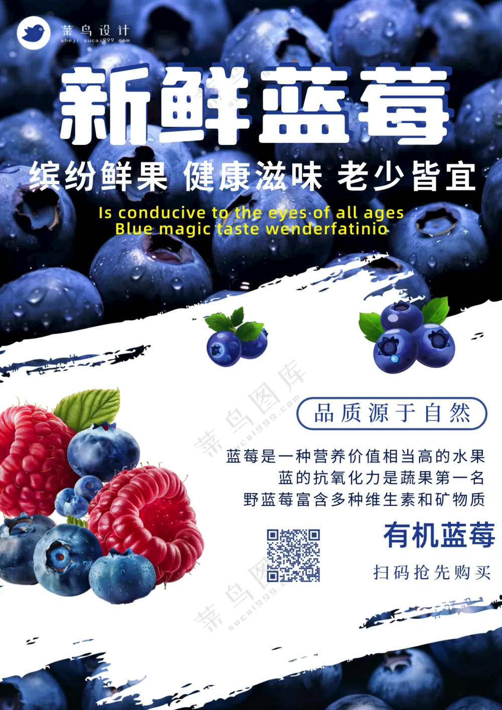 新鲜蓝莓有机水果抢购特价海报