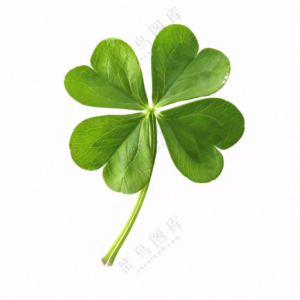 绿色四叶草三叶草植物免抠