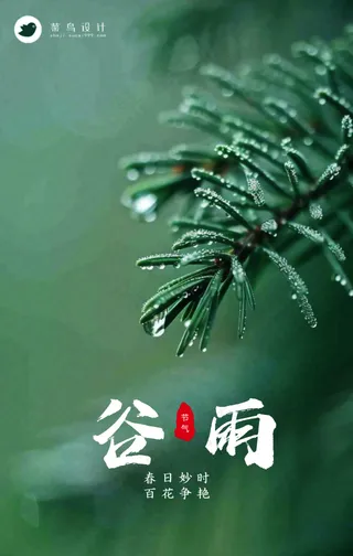 谷雨手机海报