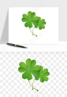 手绘四叶草幸运植物png免抠