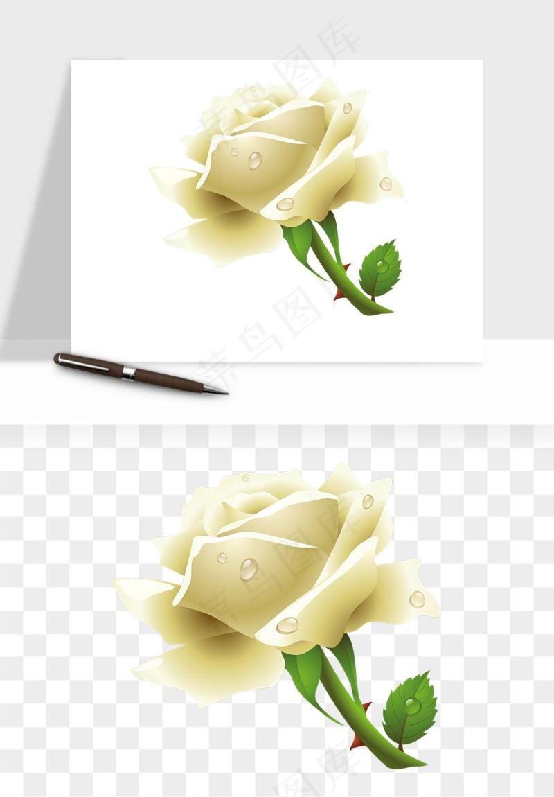 白玫瑰花枝花束png免抠