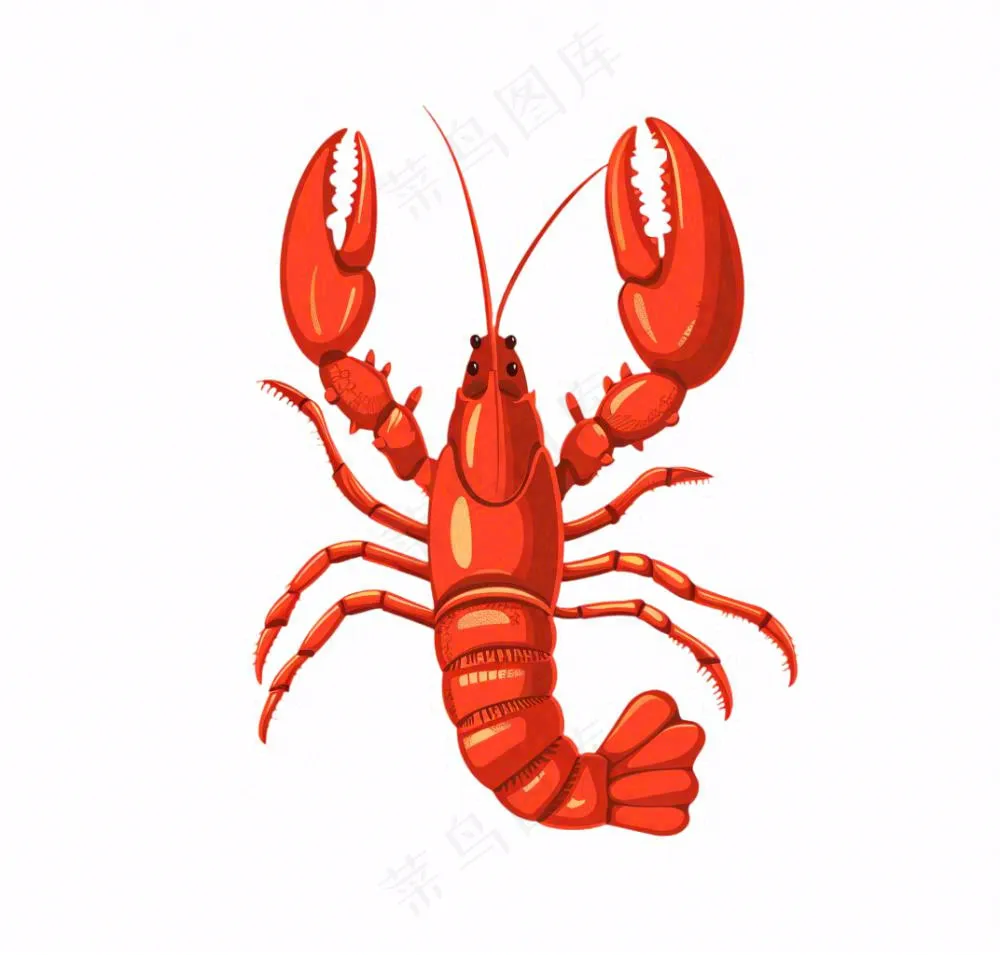 大龙虾海洋海鲜卡通插画免抠