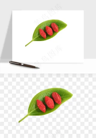 枸杞养生中药png免抠