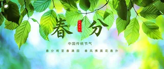 春分公众号首图