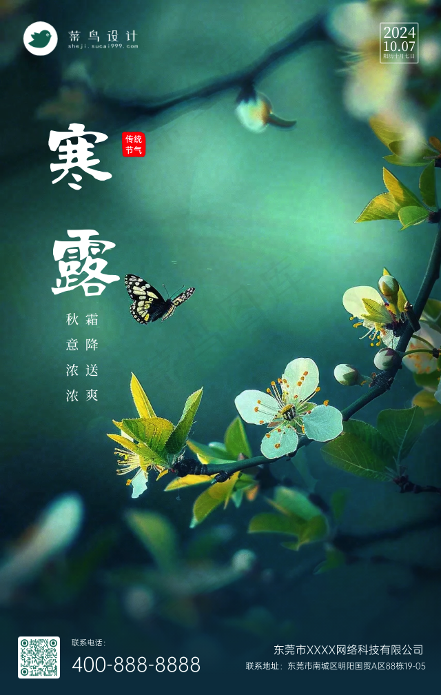 寒露手机海报