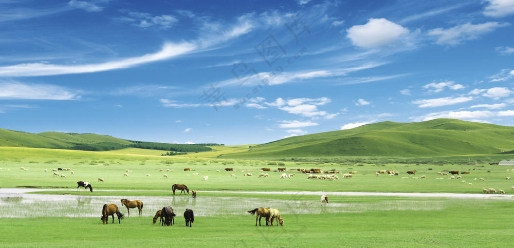 内蒙草原风光图片
