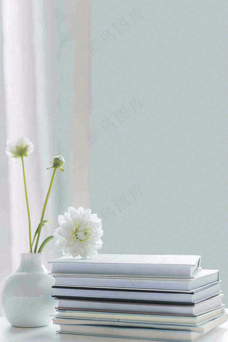 文静花瓶装饰书本阅读知识世界读书日摄影图