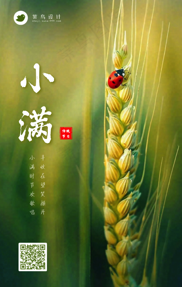 小满手机海报