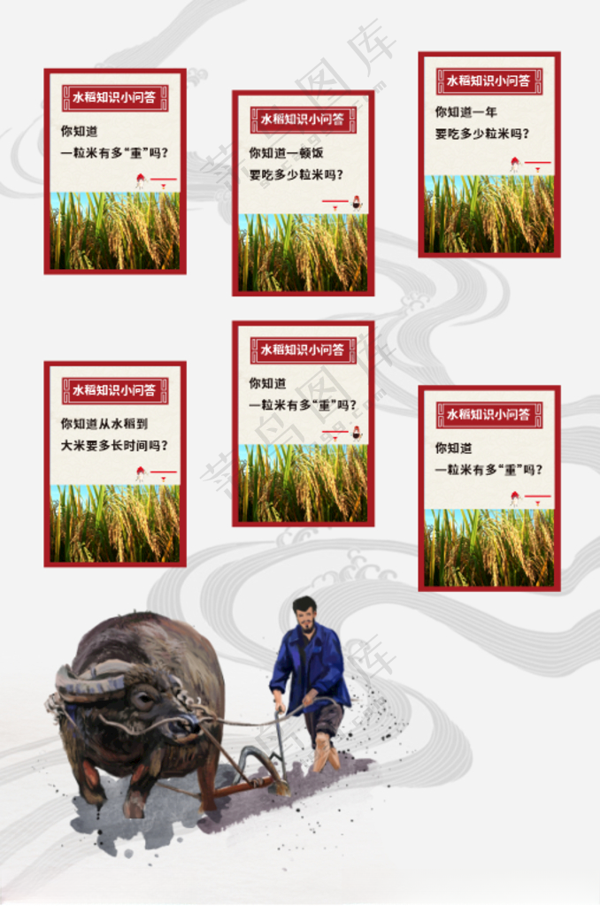 水稻知识海报忙家庄农耕展板