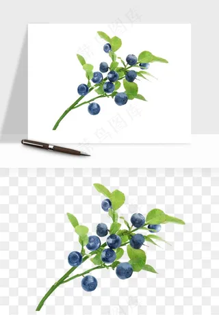 蓝莓水果png免抠