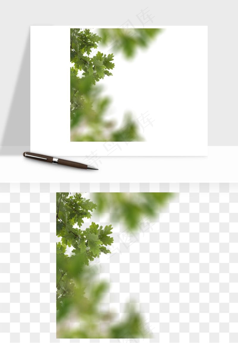 绿叶虚化前景树枝png免抠
