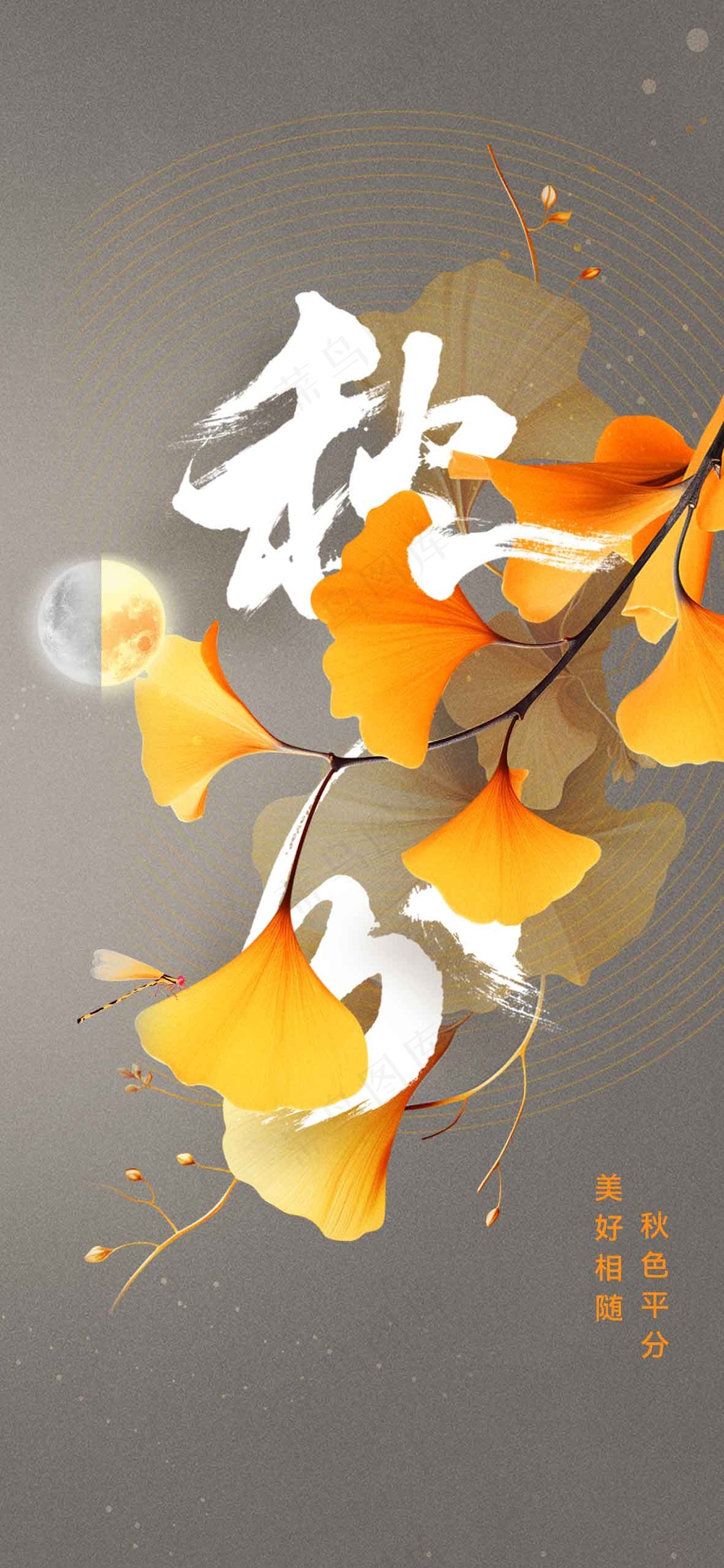 秋分节气传统活动海报