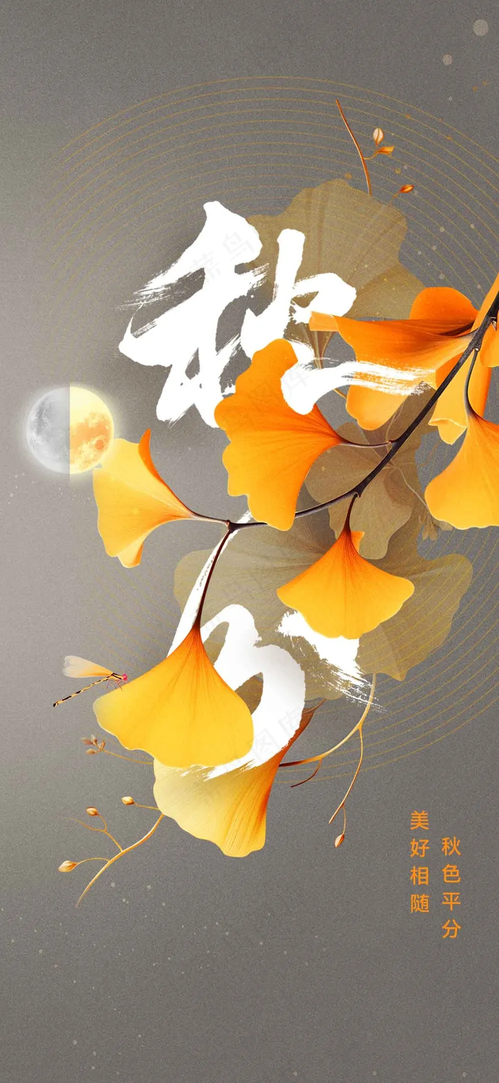 秋分节气传统活动海报