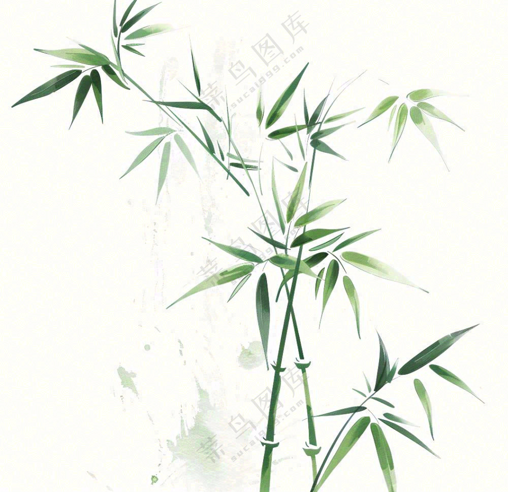 绿竹竹子绿植水墨画插画免抠