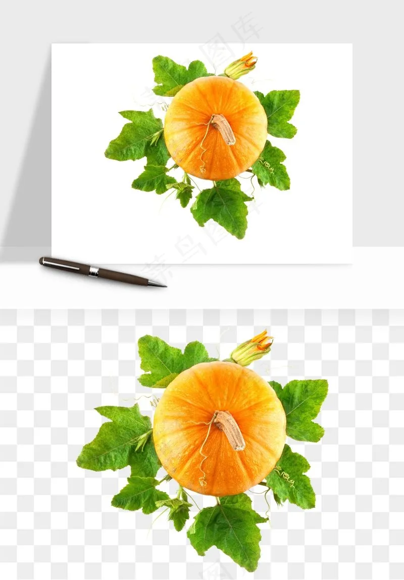 南瓜蔬菜png免抠