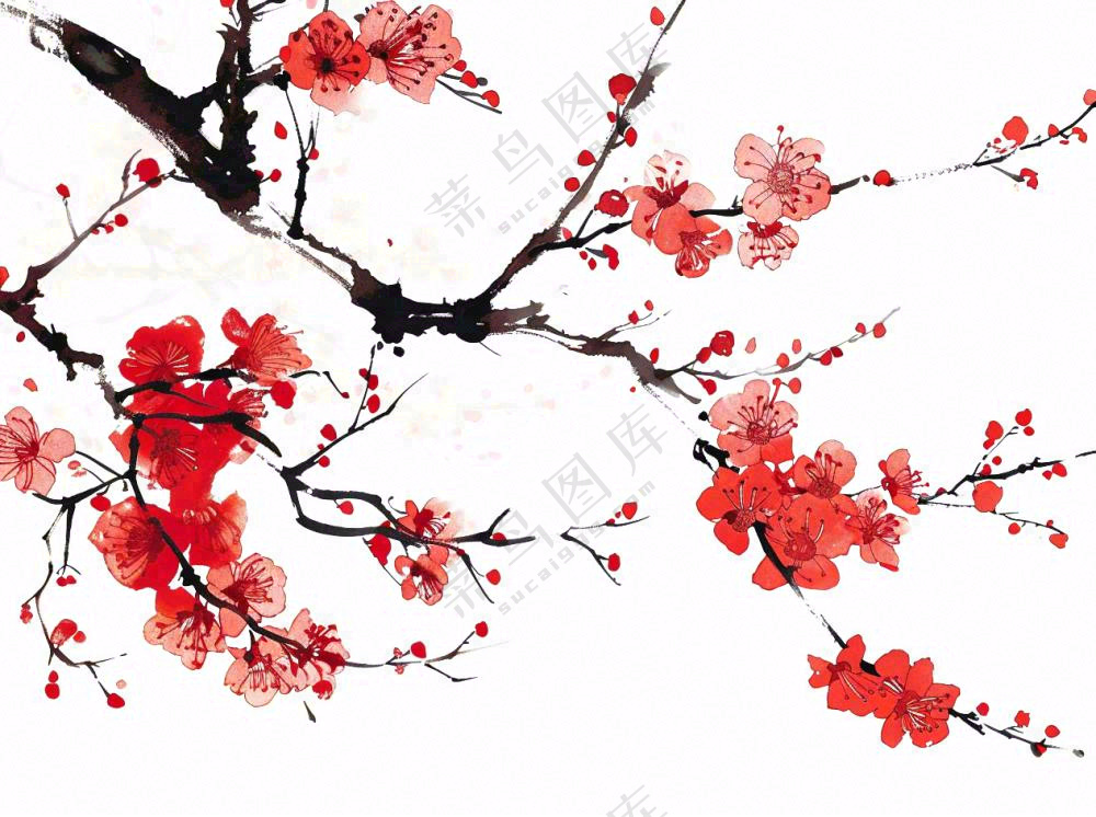 红色梅花傲雪水墨画插画免抠