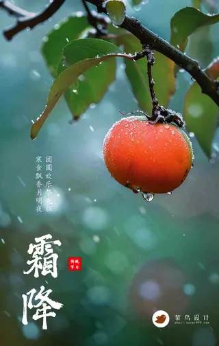 霜降手机海报