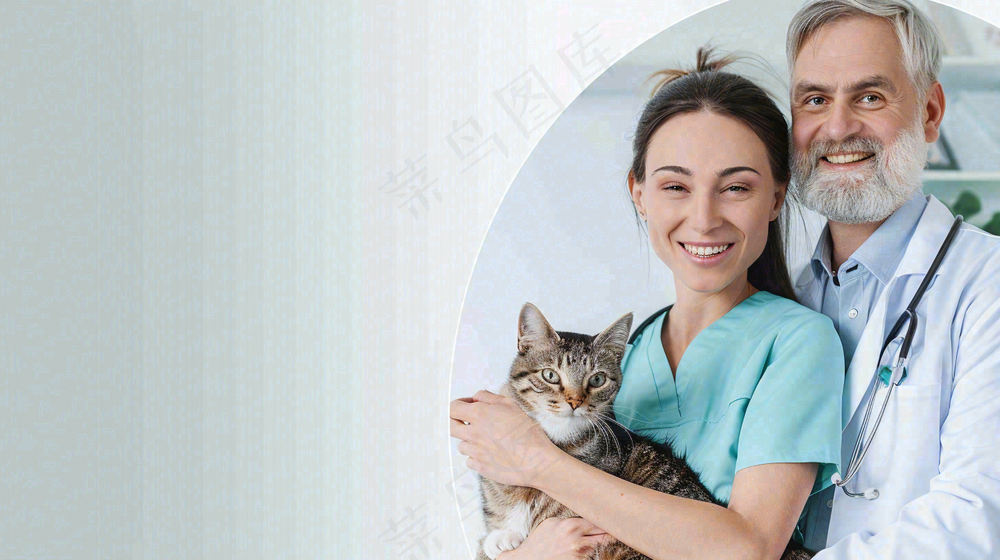 宠物医院猫狗生病救治摄影图