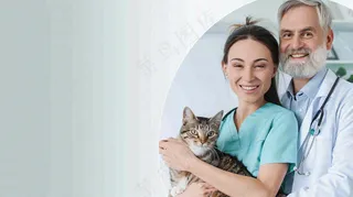 宠物医院猫狗生病救治摄影图