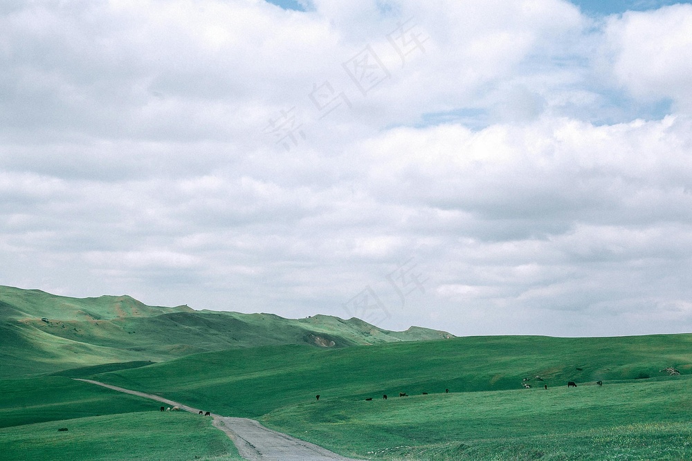 绿野牧歌宁静景·自然风格·绿白交错·家居装饰画