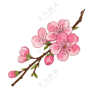 桃花枝条红色春分免扣图