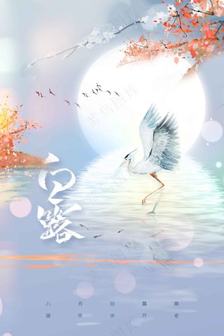 白露节气传统活动海报