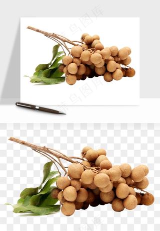 龙眼桂圆水果png免抠