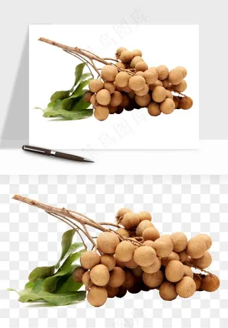 龙眼桂圆水果png免抠