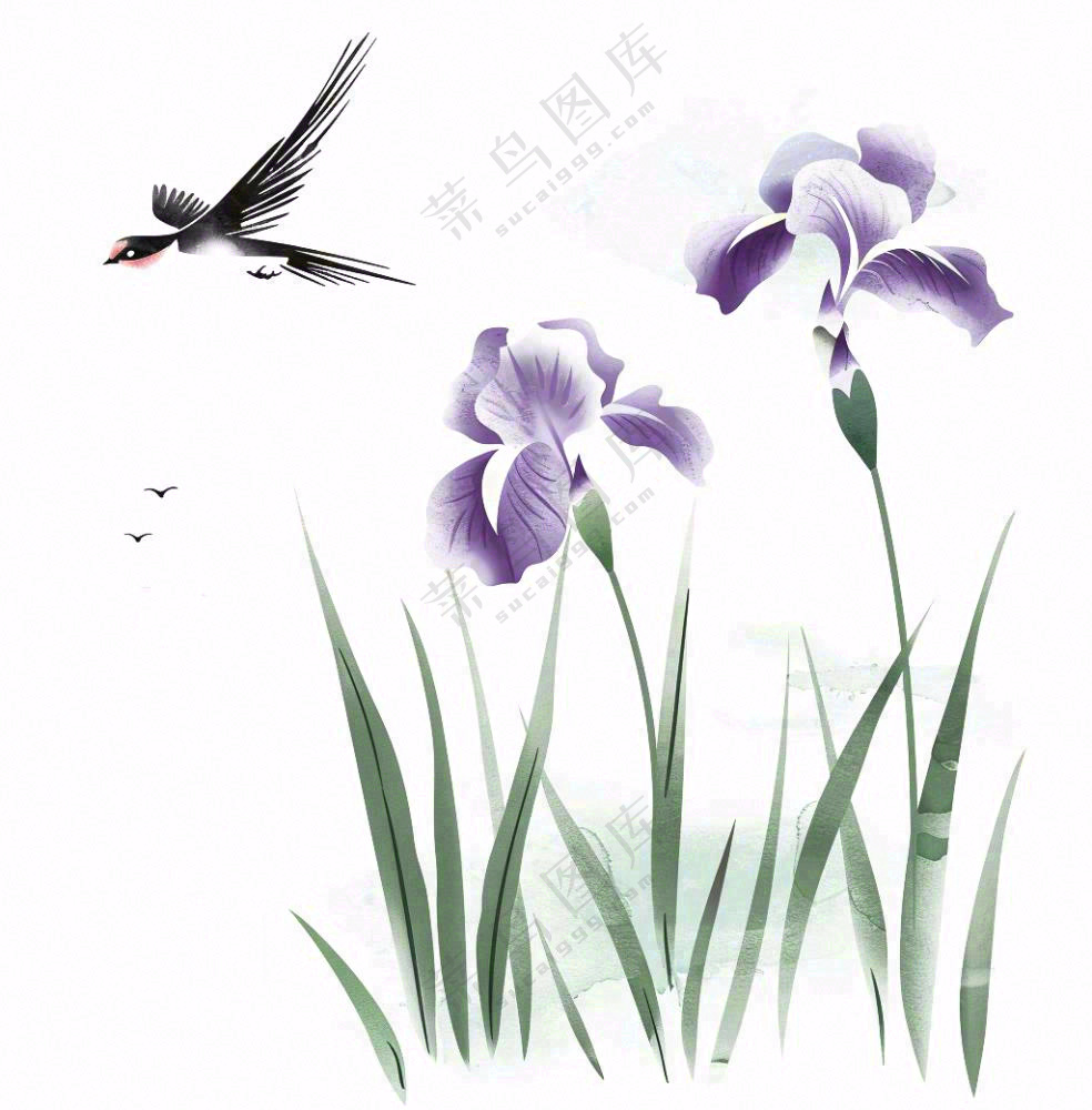 水墨画兰花鸟类紫色兰花插画免抠