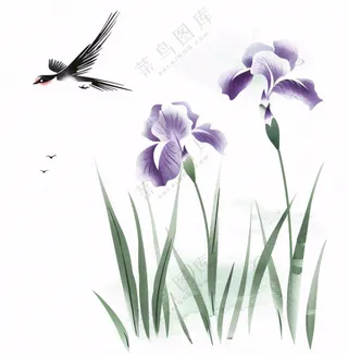 水墨画兰花鸟类紫色兰花插画免抠