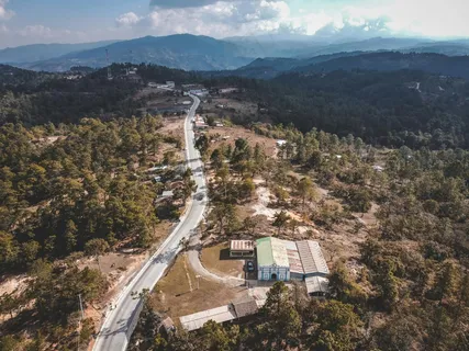 林荫小径·自然风·蓝白翠意·静谧观赏 林荫小径·自然风·蓝白翠意·静谧观赏