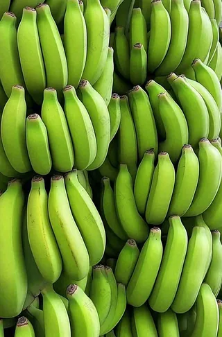 香蕉树芭蕉叶青香蕉水果摄影图