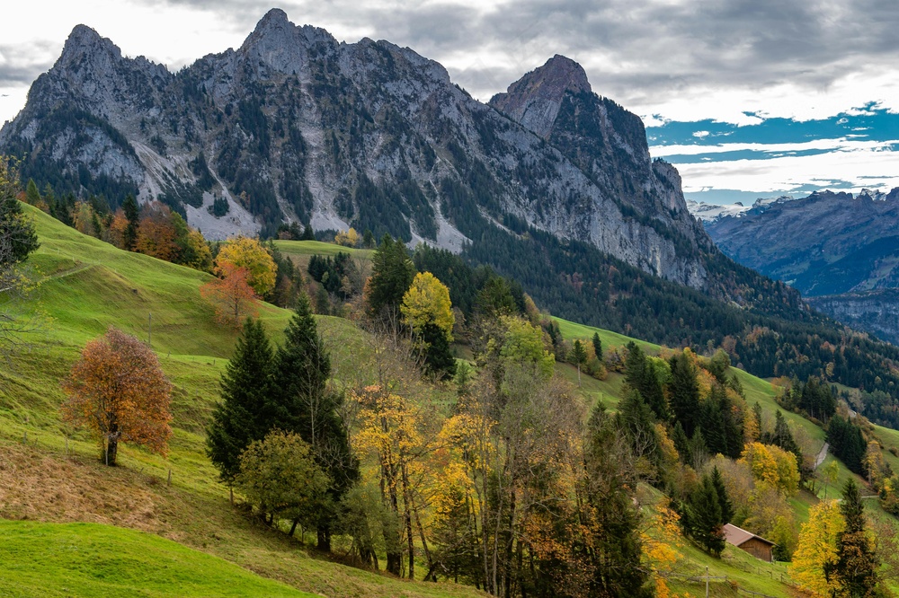 秋日山谷：写实风格色彩摄影