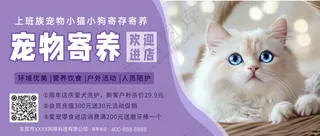 萌宠宠物寄养活动促销公众号首图