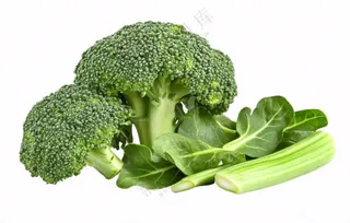西蓝花蔬菜免抠