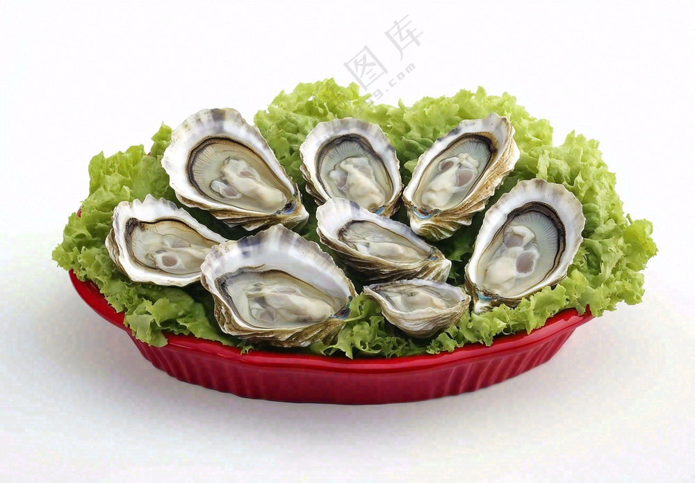 新鲜生蚝宵夜食物海鲜摄影图