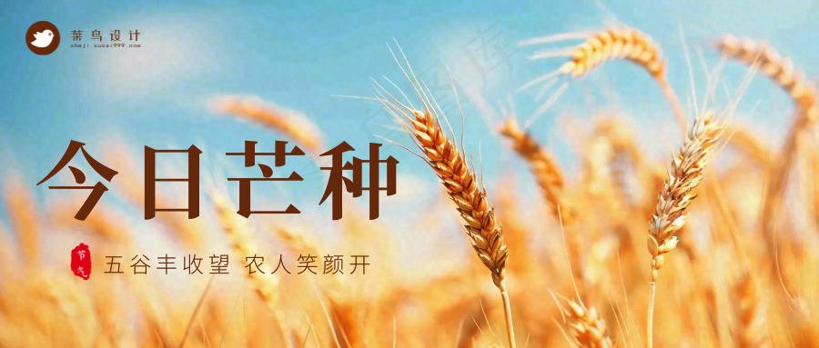 芒种公众号首图