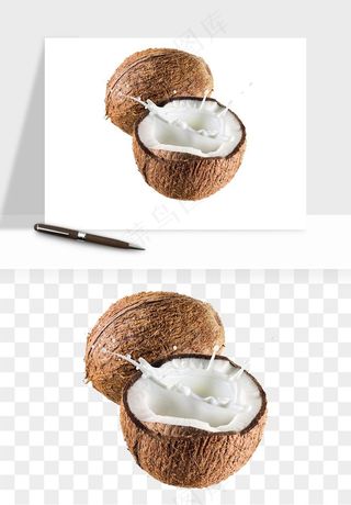 椰子椰果水果png免抠