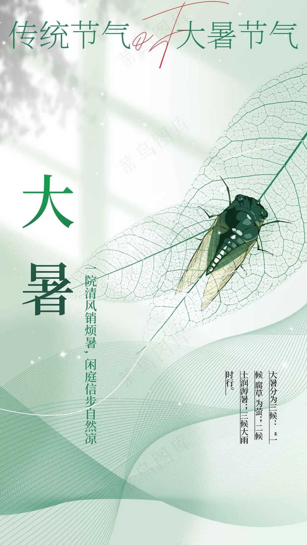 简约清新大暑节气海报